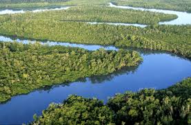 People, Rice Paddies and Mangroves in Guinea-Bissau: Futures of Coexistence 